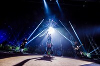 女王蜂（撮影：森好弘）