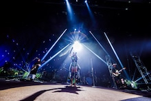 女王蜂（撮影：森好弘）