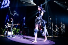 女王蜂（撮影：森好弘）