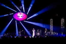 女王蜂（撮影：森好弘）