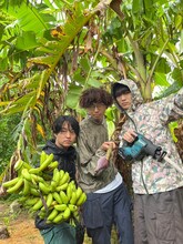 CHO CO PA CO CHO CO QUIN QUIN