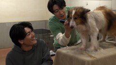 犬好き森本慎太郎「嗚呼!!みんなの動物園」で相葉雅紀と保護犬トリミング