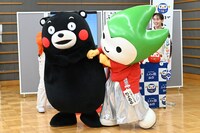 揉めるくまモンとちょるる。