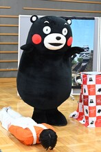 体を張るハルとくまモン。