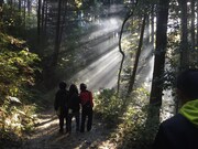 甫木元の初監督映画「はるねこ」撮影時の様子。