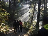 甫木元の初監督映画「はるねこ」撮影時の様子。