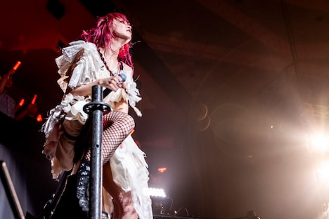 LiSA（Photo by Viola Kam［V'z Twinkle］）