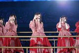 「乃木坂46 13th YEAR BIRTHDAY LIVE」の様子。（撮影：鈴木健太［KENTA Inc.］）