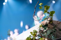 ステージ手前に添えられた薔薇。