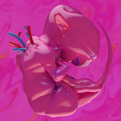 春ねむり「ekkolaptómenos」ジャケット