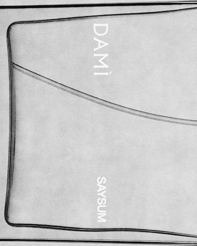DAMI「SAYSUM」ビジュアル
