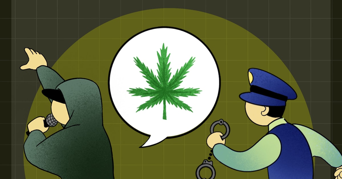 大麻について歌ったら逮捕される可能性はあるのか？法律の専門家に聞いてみた - 音楽ナタリー コラム