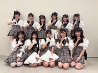 可憐なアイボリー