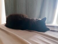 雫いわく「世界一かわいい後頭部」がこちら。