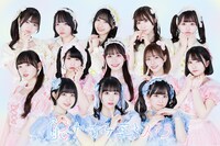 かすみ草とステラ