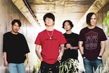 MONOEYES