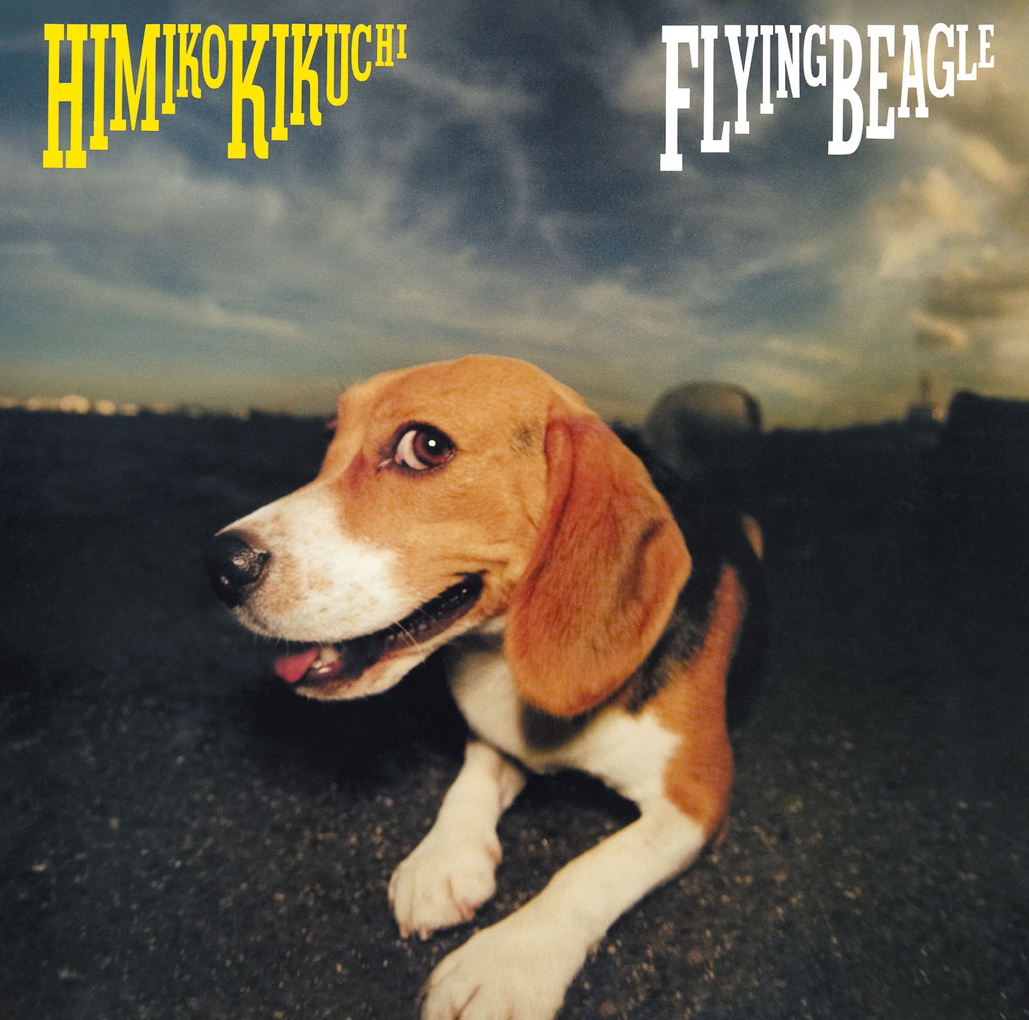 菊池ひみこ「FLYING BEAGLE」ジャケット