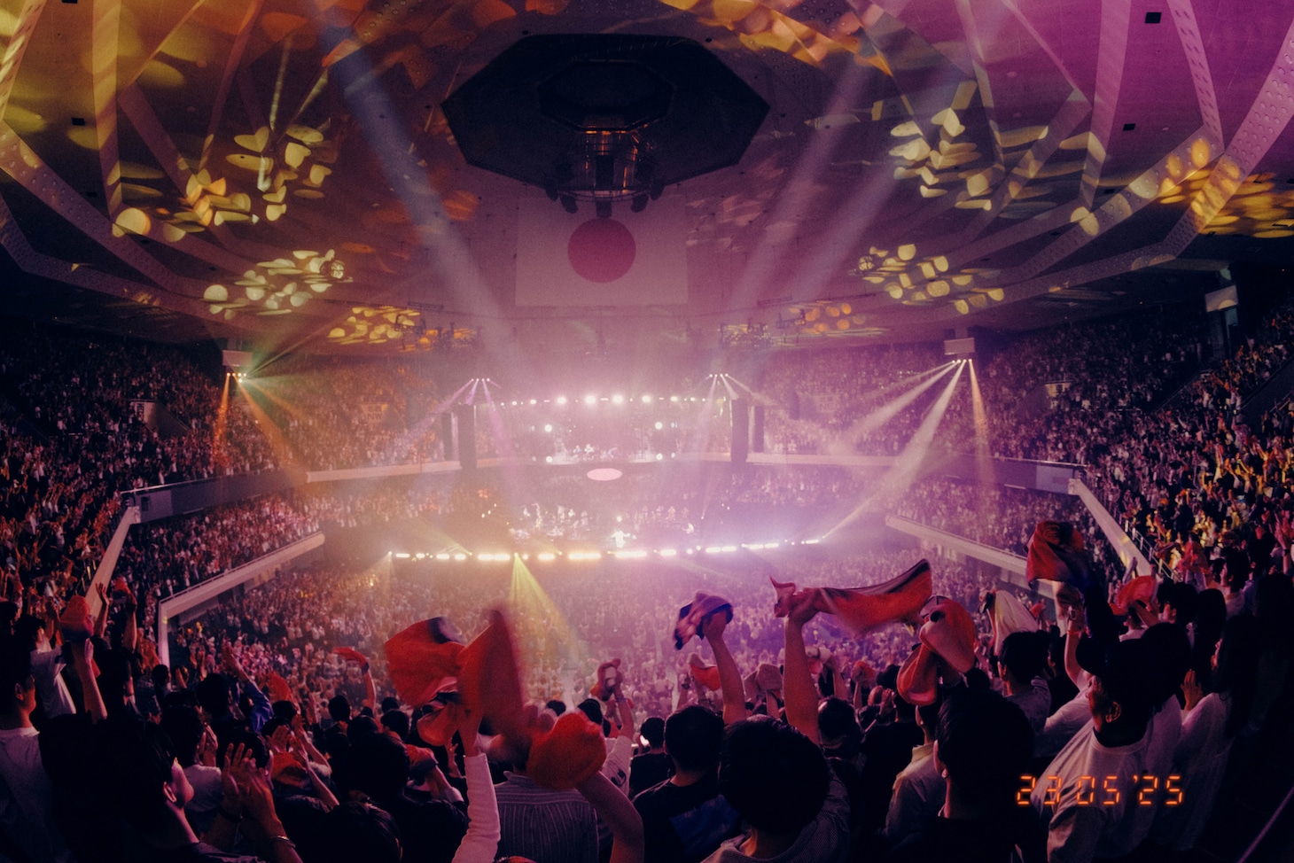 「TOMOO Live at 日本武道館」の様子。（Photo by renzo masuda）