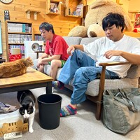 さらば青春の光