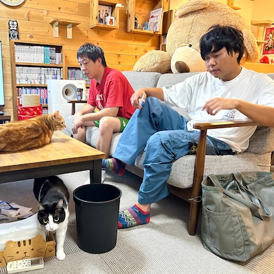 さらば青春の光