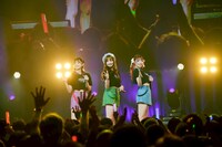 「Task have Fun 結成9周年記念ツアー『THIS IS TASK』」ファイナル公演の様子。