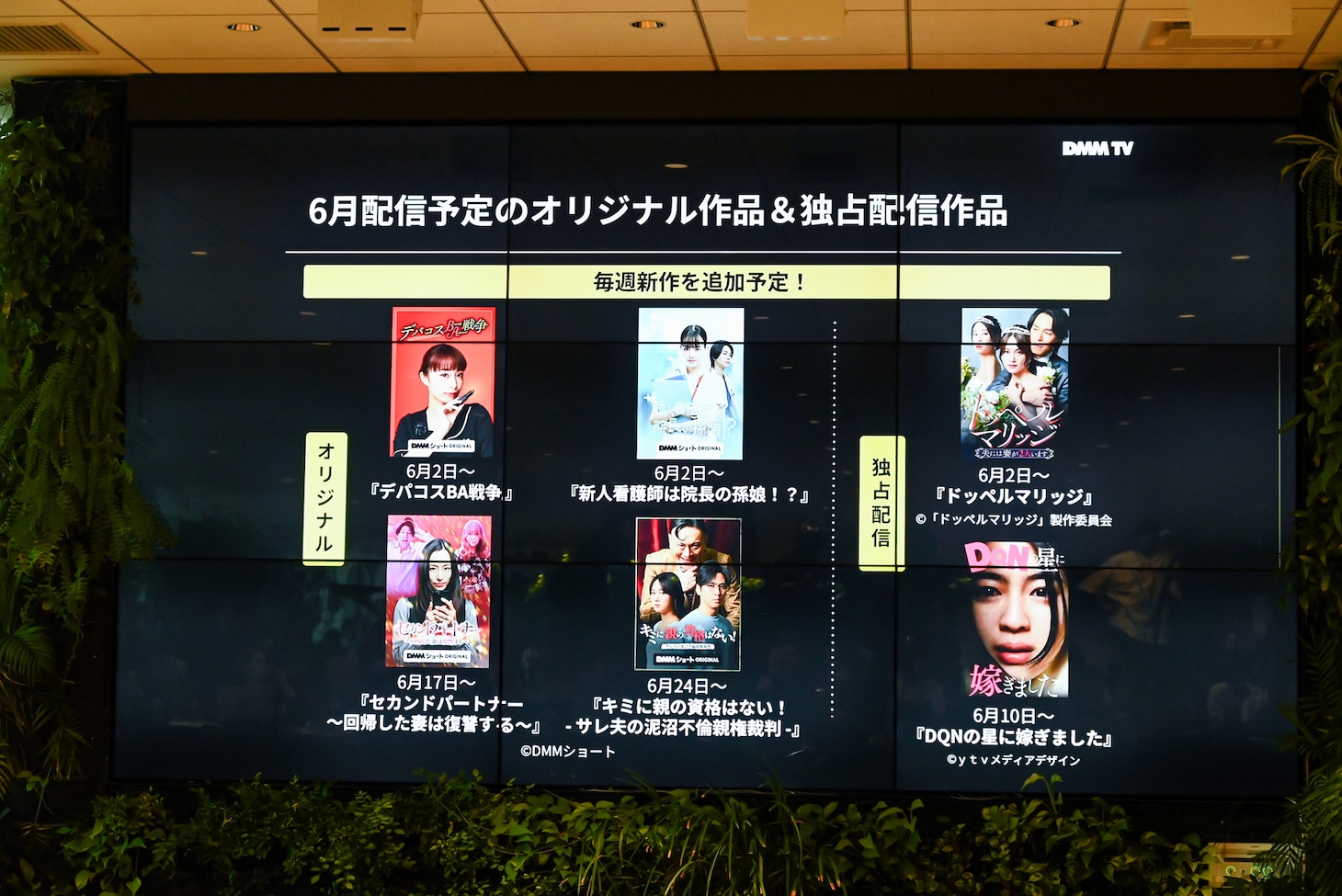 「DMMショート」6月の配信作品情報