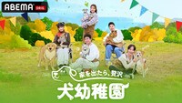 ABEMA「家を出たら、贅沢～犬幼稚園～」ビジュアル