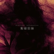 kein「delusional inflammation」通常盤ジャケット