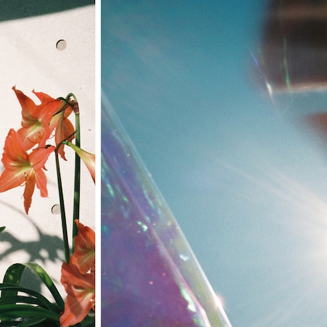 シャイトープ「僕のそばに」配信ジャケット