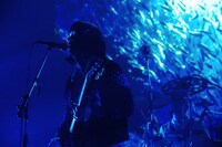 加藤成順（G）（Photo by Risa Nishimura）