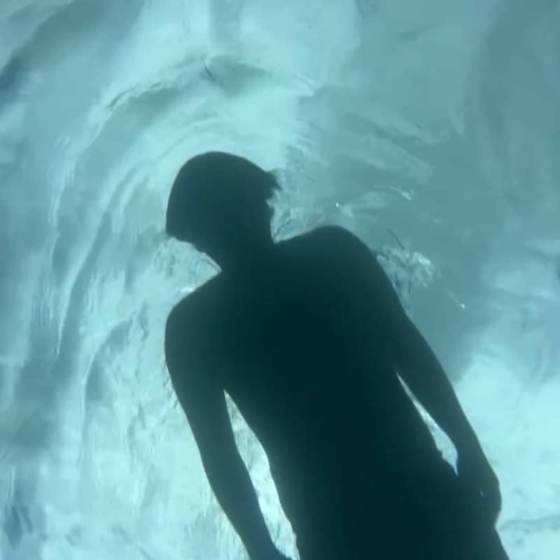 WILD SAITA FLOWERS「不確か」配信ジャケット