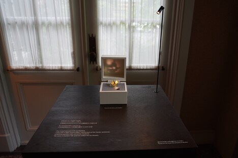 「細野さんと晴臣くん」の様子。