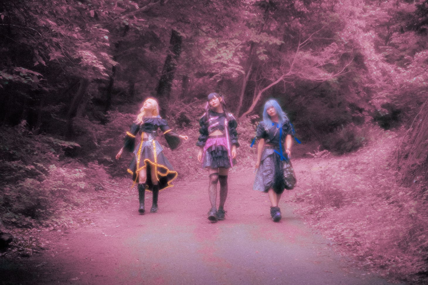 THE PINK MINDS