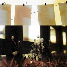 神はサイコロを振らない「秋明菊 - Reproduced 2025」配信ジャケット