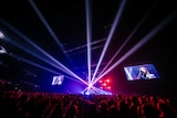 「WANDS Live Tour 2025 ~TIME STEW~」東京ガーデンシアター公演の様子。(撮影:山口渚、小沼高 / 提供:GIZA, INC.)