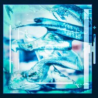 ユアネス「眩」配信ジャケット