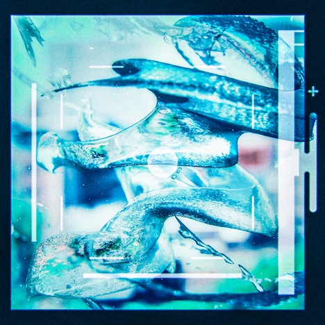 ユアネス「眩」配信ジャケット