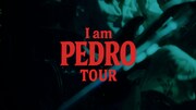 PEDRO TOUR 2025「I am PEDRO TOUR」トレイラー映像より。