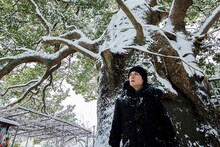 福山雅治「クスノキ-500年の風に吹かれて-」告知画像