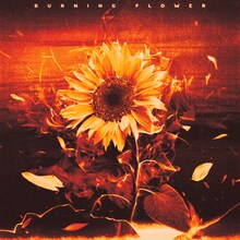 HANA「Burning Flower」ジャケット