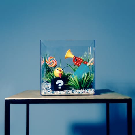 カラノア「ネオンテトラ」ジャケット