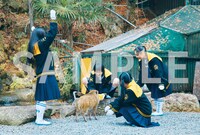 入場者プレゼントのポストカード絵柄。