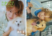 「月刊わんこvol.19」特別版表紙、裏表紙