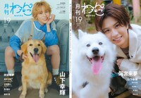 「月刊わんこvol.19」通常版表紙、裏表紙