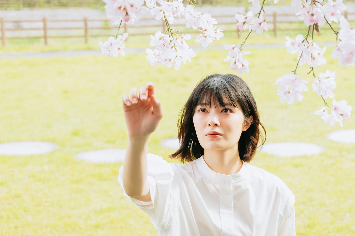「世界で一番早い春」予告編より。©川端志季／講談社 ©「世界で一番早い春」製作委員会・MBS