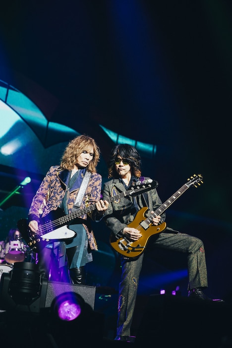 左から廣瀬洋一（B）と菊地英昭（G）（撮影：横山マサト）