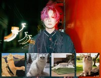 あらきと愛猫たち。