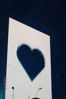 go!go!vanillas「Moonshine」MVより。