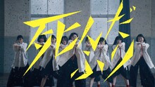 櫻坂46「死んだふり」ミュージックビデオより。