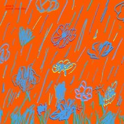 鈴木真海子「雨と」ジャケット